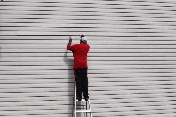 Best Siding Removal and Disposal  in Terryville, CT