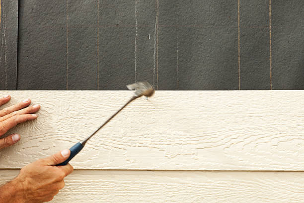 Best Siding for New Construction  in Terryville, CT